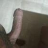 foto do perfil billu